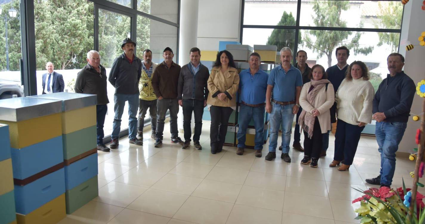 Apicultores do Curral das Freiras recebem colmeias e formação