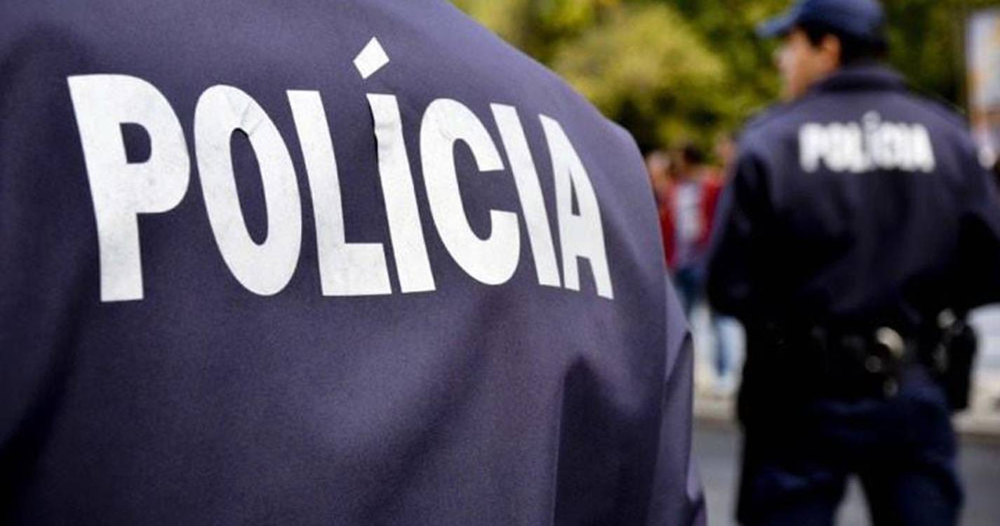 PSP recolheu 173 armas de fogo e mais de 1.500 munições e cartuchos