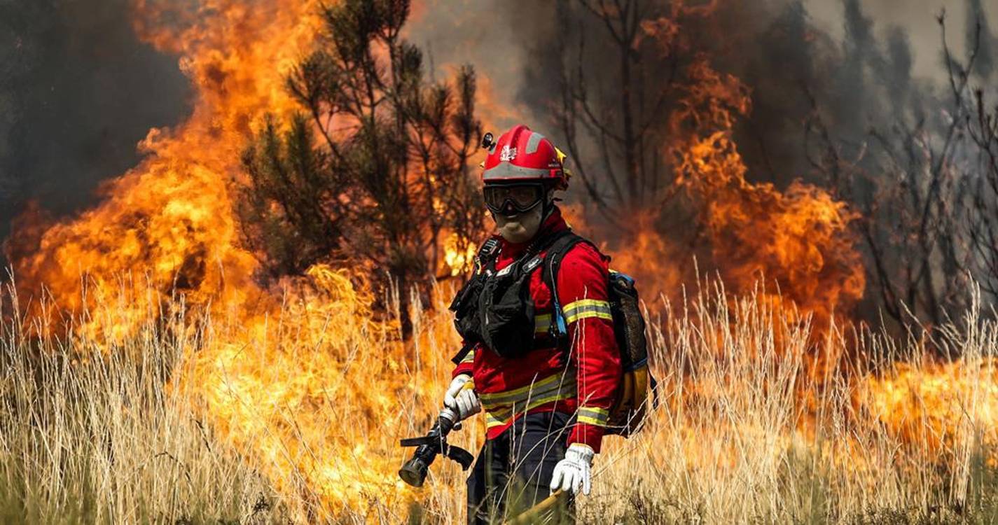 Incêndios: MAI repete apelos para limpeza de terrenos porque verão pode ser “muito duro”