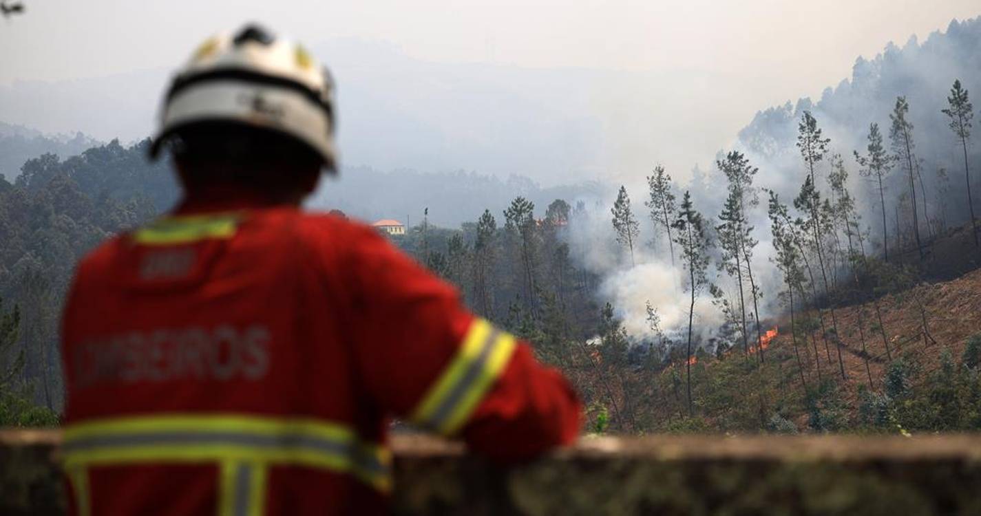 Incêndios: MAI faz apelo “muito sério” aos portugueses para se prepararem para “verão terrível”