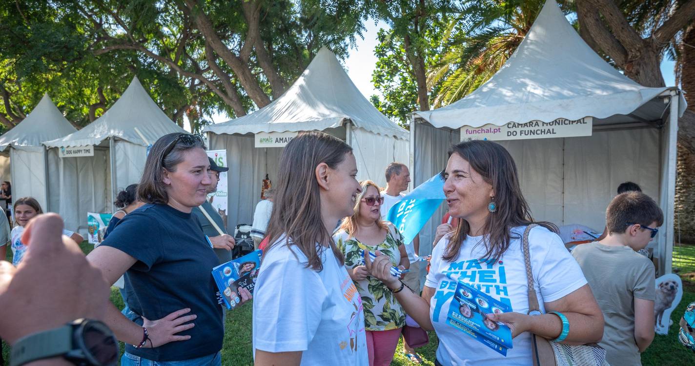 IL acusa “medidas avulsas” de terem agravado crise da habitação no Funchal