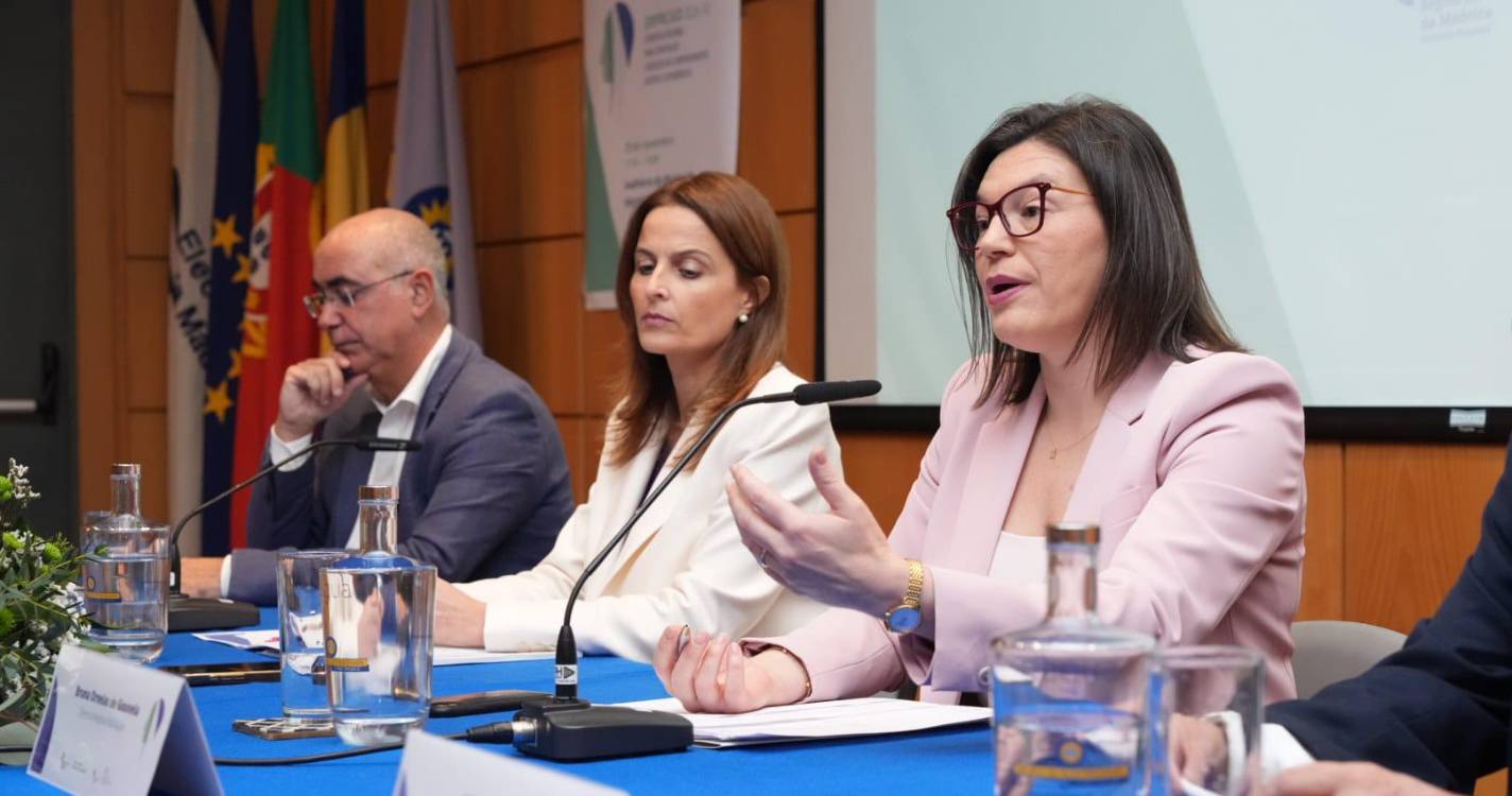 “Penso que esta Estratégia tem condições para ser eficaz e conseguir contribuir para aquilo que são os seus objetivos”