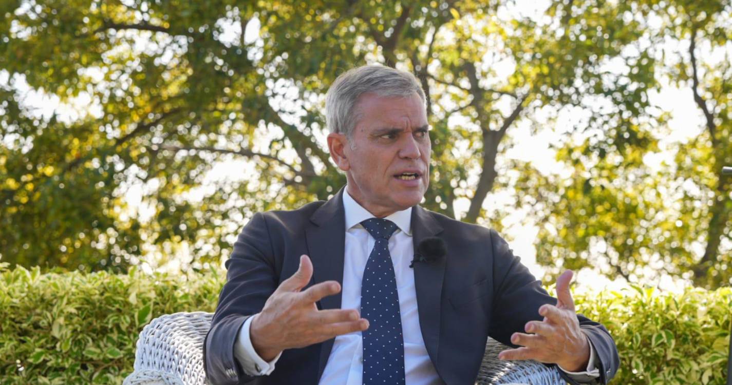 Eduardo Jesus: “A maior ameaça à Laurissilva são as alterações climáticas”