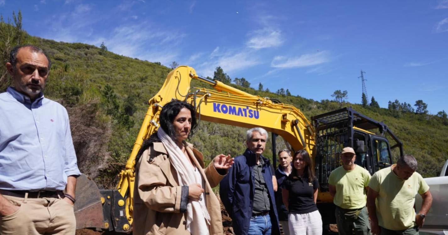 Intervenção na Estrada das Ginjas feita por pessoas especializadas “e não pelos serviços do Facebook”