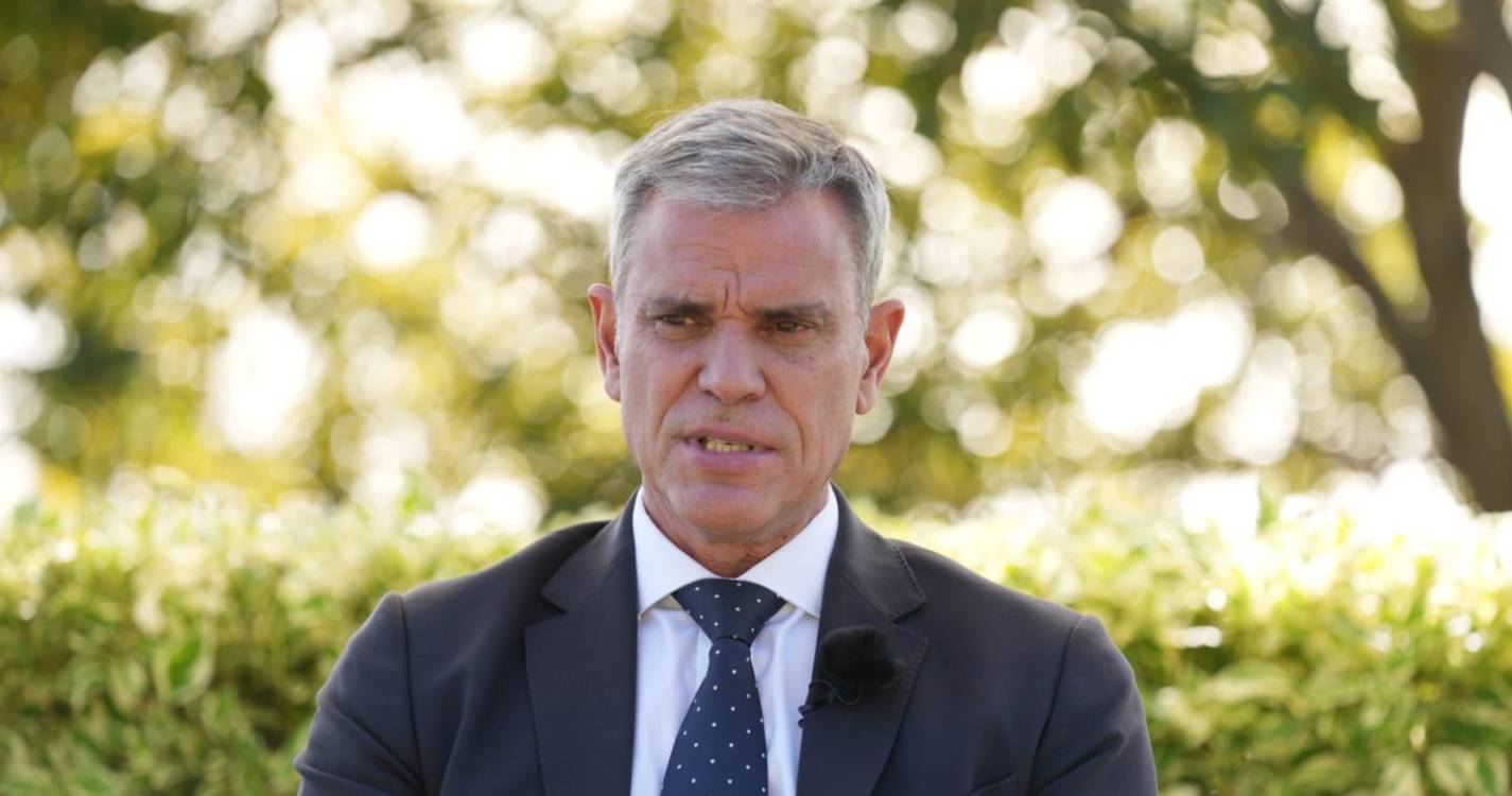 Crescimento de 6% mostra que Laurissilva “está viva e em expansão”