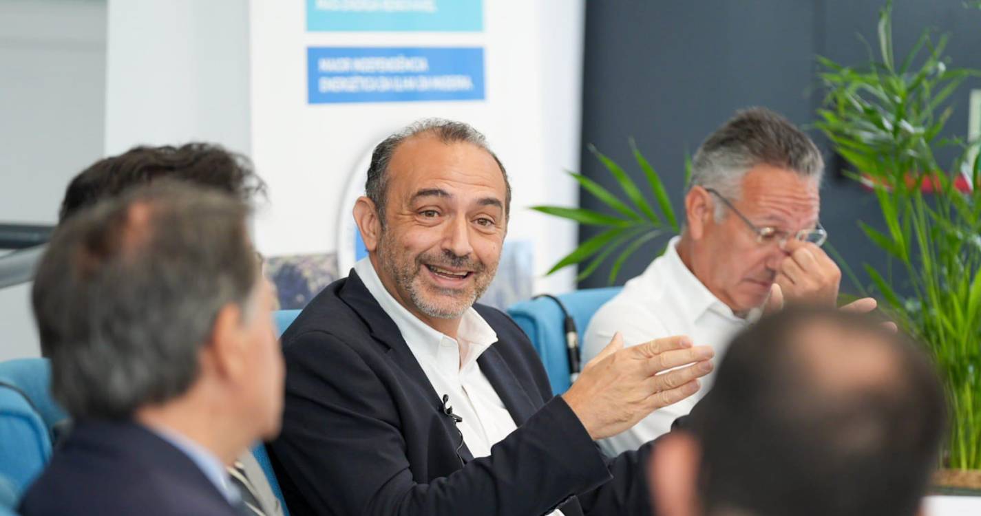 Dia do Ambiente: Sistema elétrico assente em três pilares