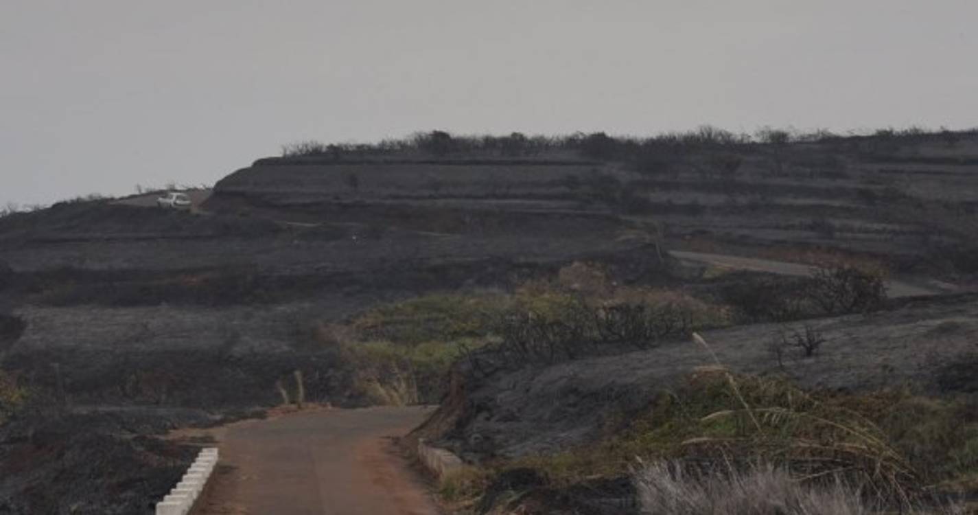 Cenário desolador na Santa do Porto Moniz (com fotos)