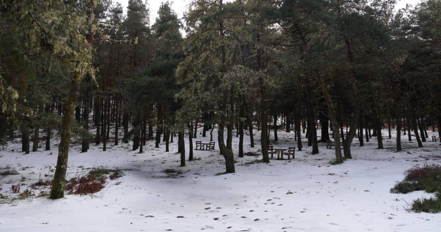 Estradas encerradas deixam curiosos a ver neve no Poiso (com fotos)