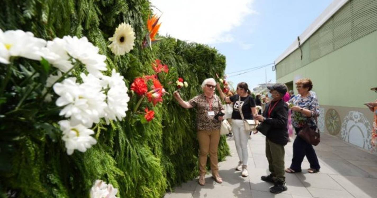 Muro da Solidariedade junta cerca três dezenas de instituições