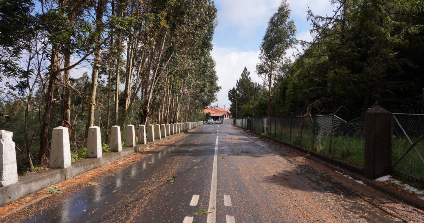 Estradas encerradas deixam curiosos a ver neve no Poiso (com fotos)