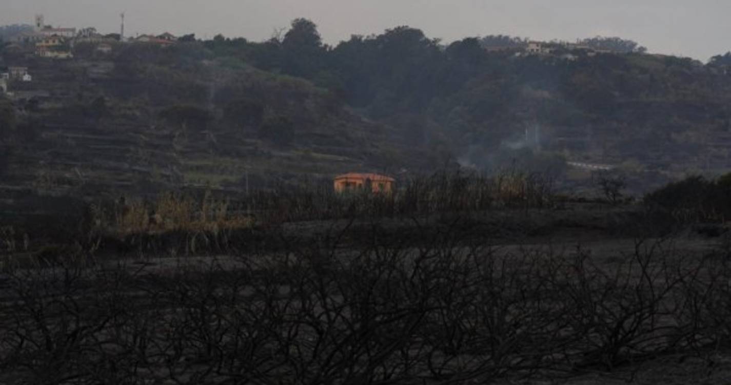 Cenário desolador na Santa do Porto Moniz (com fotos)