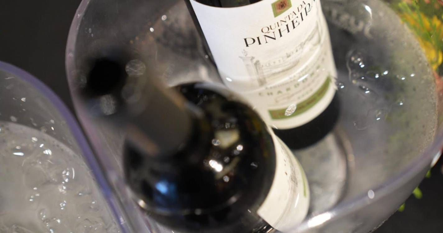 Pérola Wine Fest dá a provar mais de 400 vinhos na sua 7.ª edição (com fotos)