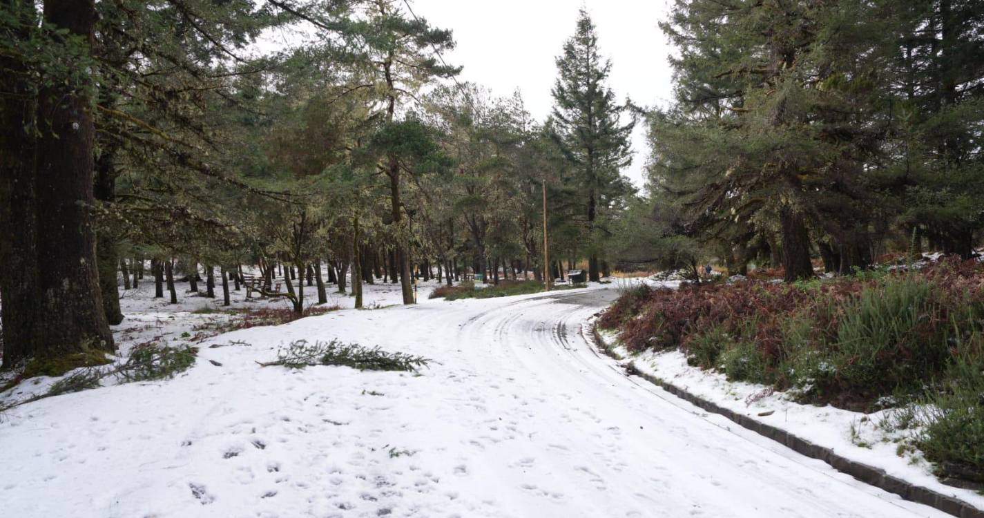 Estradas encerradas deixam curiosos a ver neve no Poiso (com fotos)