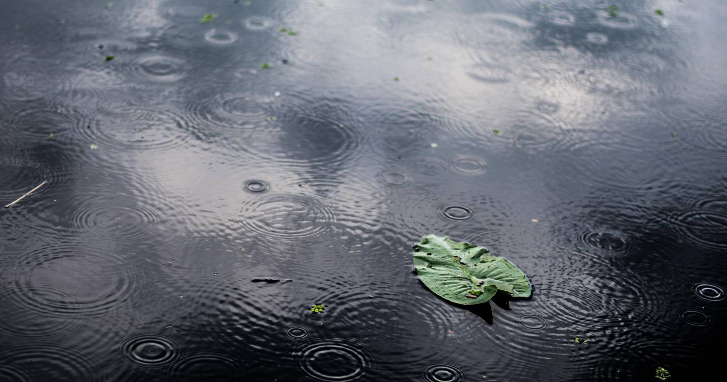 Mau tempo: Proteção Civil registou quase 350 ocorrências até às 23:00