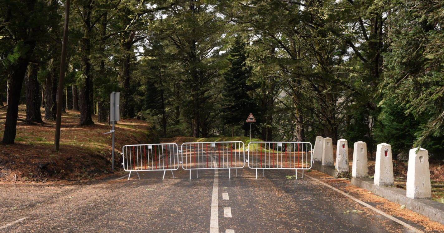 Estradas encerradas deixam curiosos a ver neve no Poiso (com fotos)