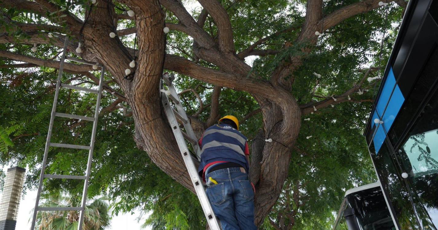 Luzes de Natal já estão a ser instaladas na cidade (com fotos)