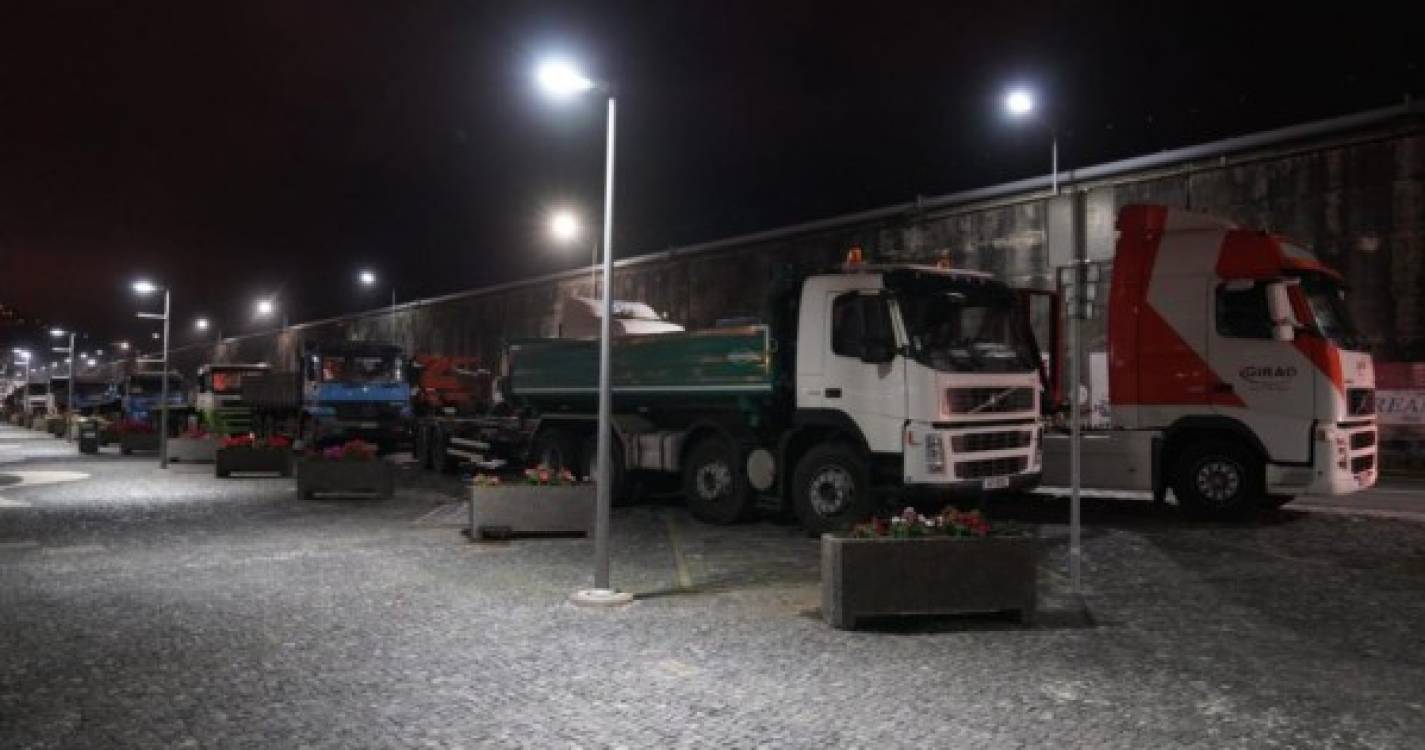Camiões ‘enchem’ porto do Funchal para a descarga de gado vivo (com fotos)