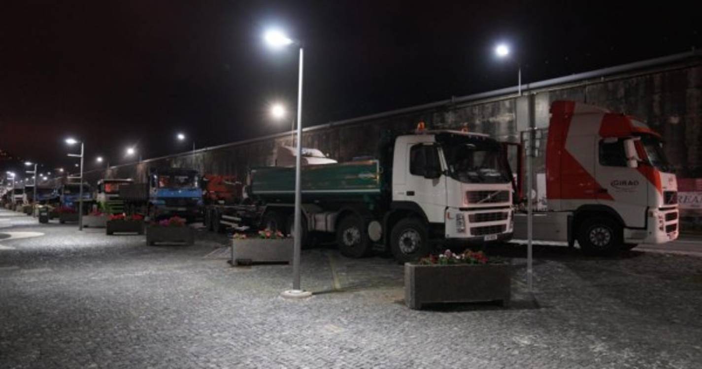 Camiões ‘enchem’ porto do Funchal para a descarga de gado vivo (com fotos)