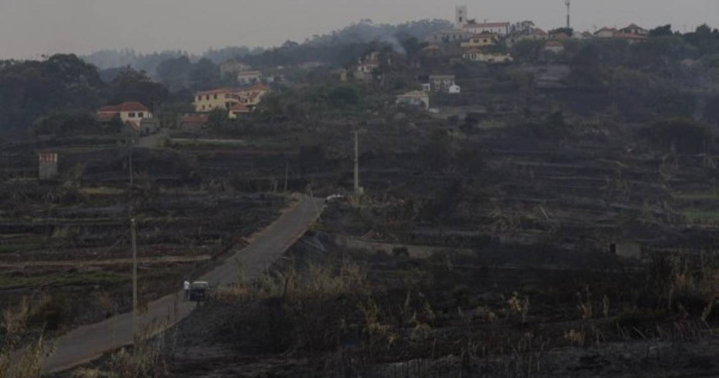 Cenário desolador na Santa do Porto Moniz (com fotos)