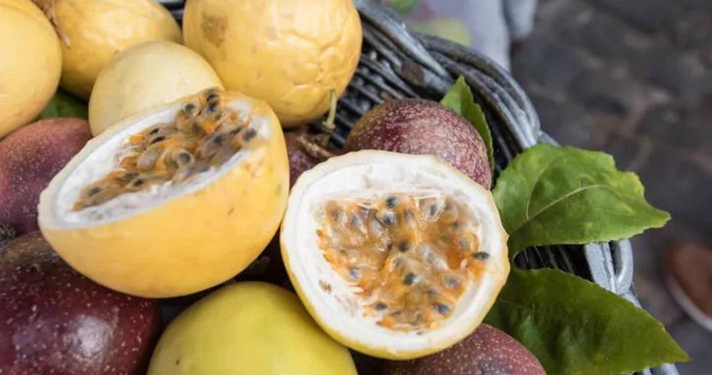 Mostra do Maracujá e Derivados retorna à Ribeira Brava no fim de semana