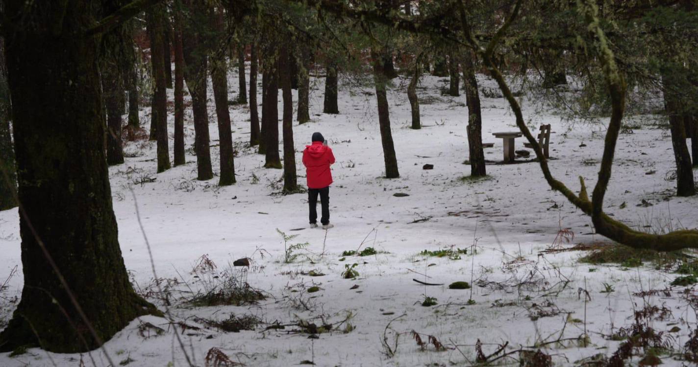 Estradas encerradas deixam curiosos a ver neve no Poiso (com fotos)