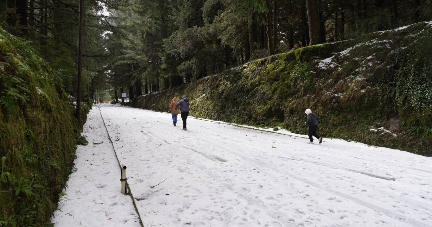 Estradas encerradas deixam curiosos a ver neve no Poiso (com fotos)