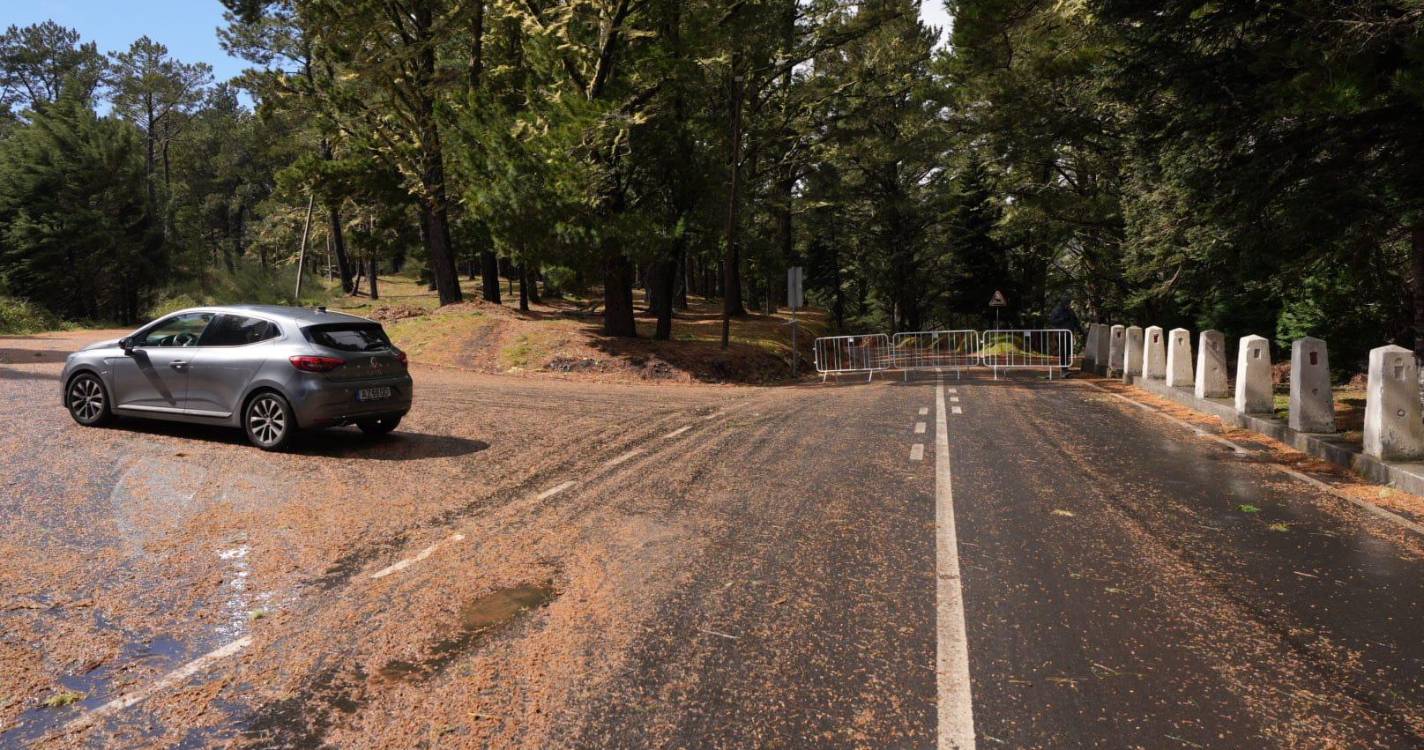Estradas encerradas deixam curiosos a ver neve no Poiso (com fotos)