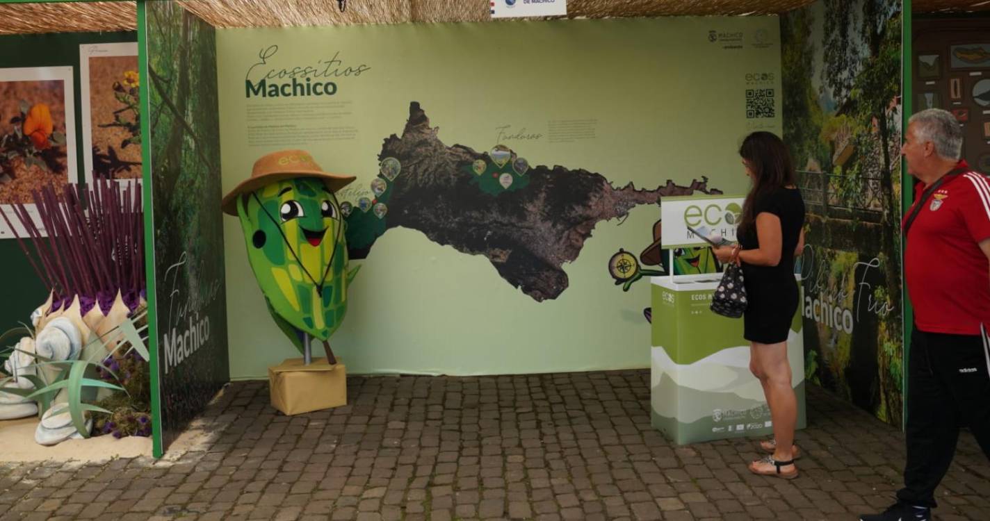 Veja como está o ambiente no ‘24 Horas a Bailar’