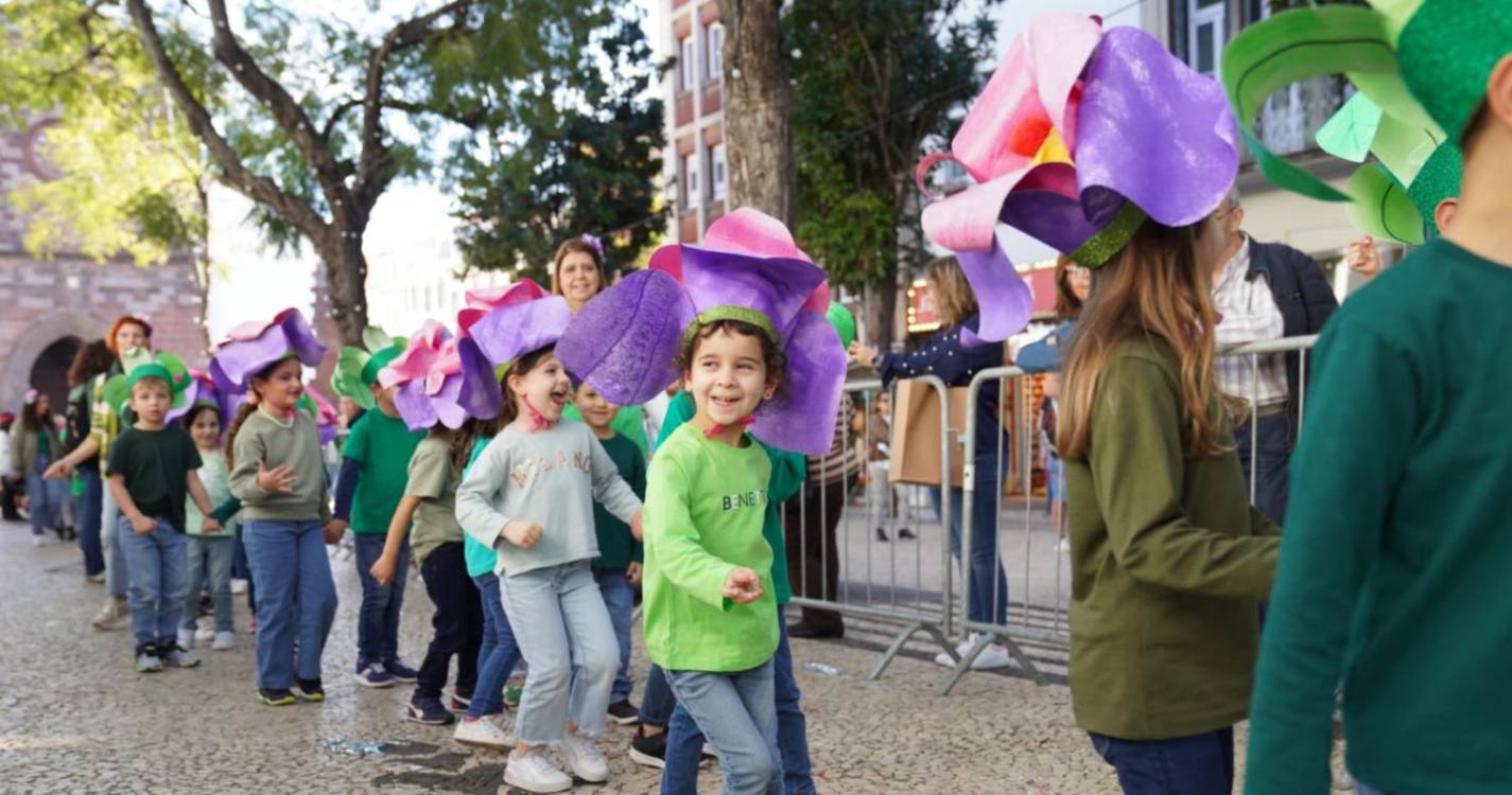 Mais de mil miúdos desfilam no Cortejo de Carnaval das Crianças (com fotos)