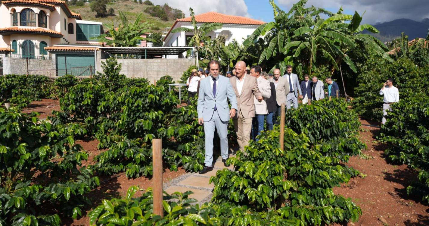 Fazenda Sá aposta no café madeirense e abre portas ao público