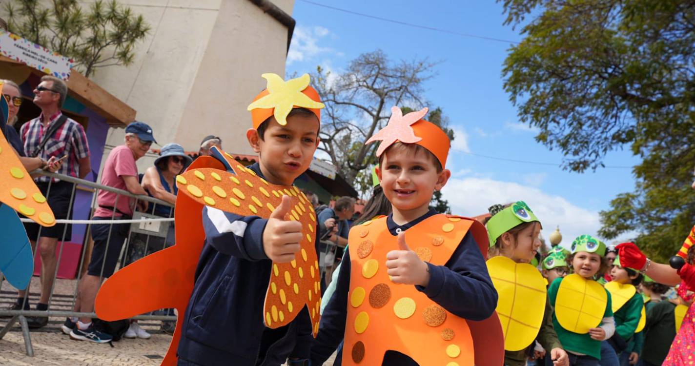 Mais de mil mascarados brilharam no Carnaval das Crianças (com fotos)