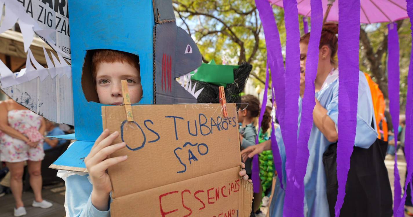 Mais de mil mascarados brilharam no Carnaval das Crianças (com fotos)