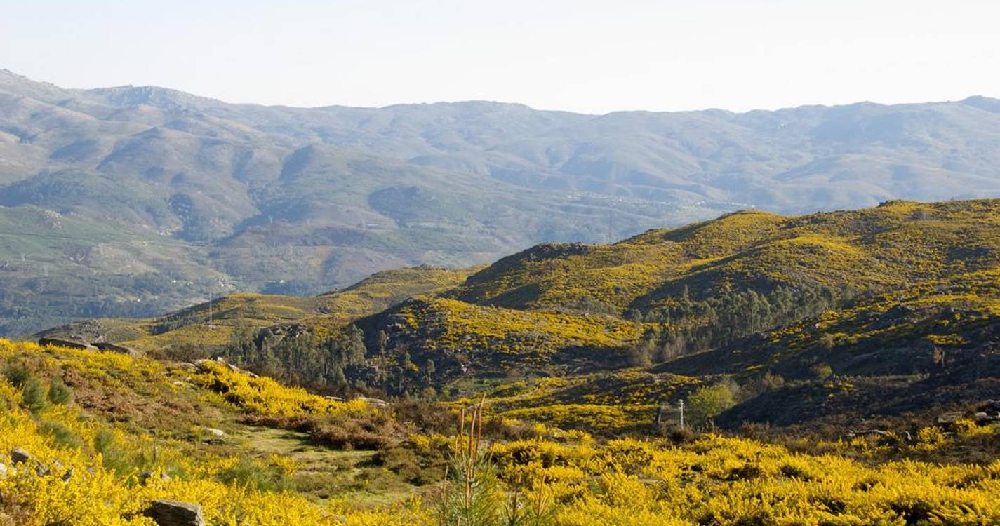 Incêndios: Mais de 100 operacionais combatem fogo no Parque Nacional da Peneda-Gerês