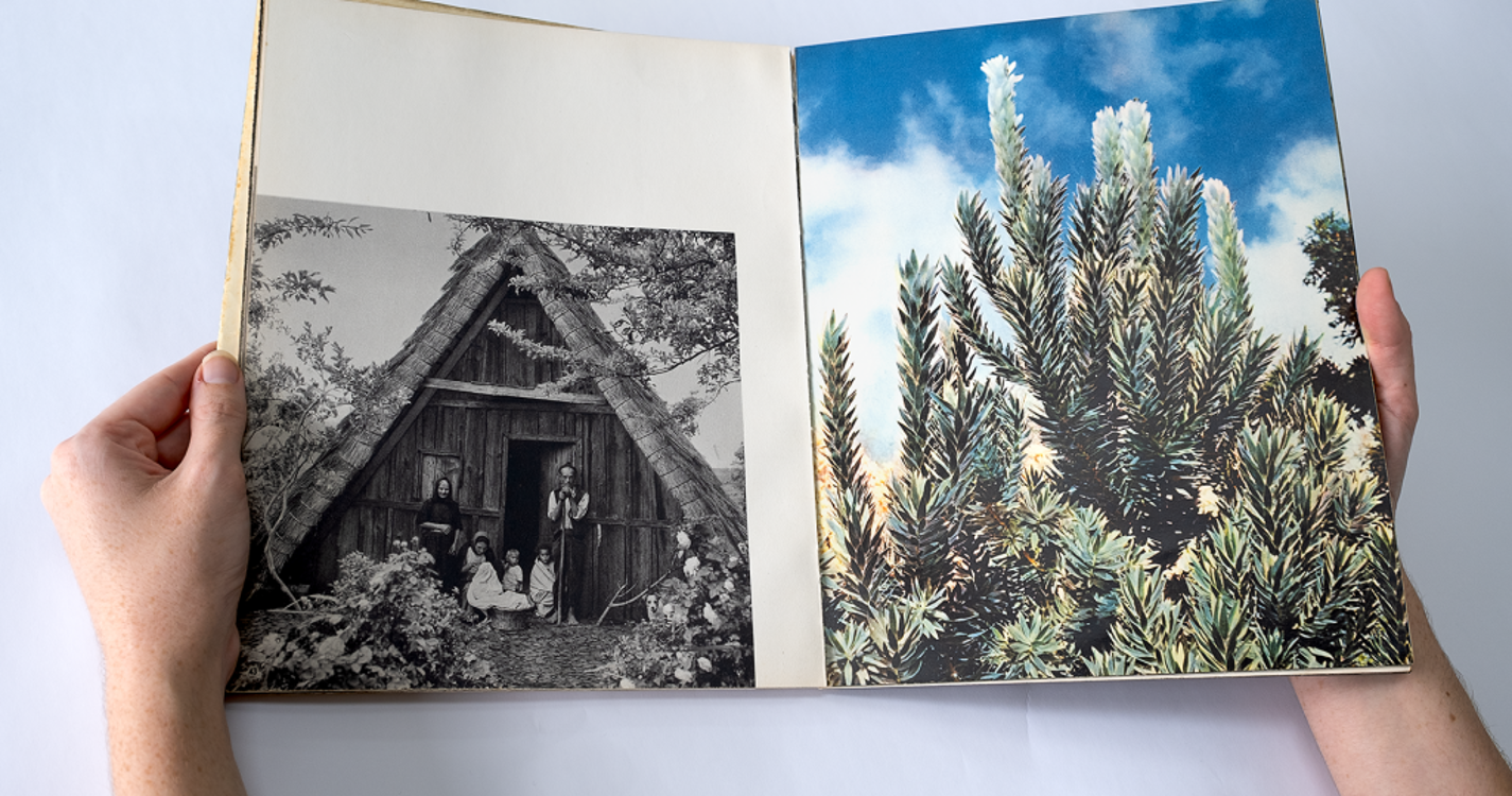 Conferência Internacional de Estudos de Fotografia arranca esta quarta-feira