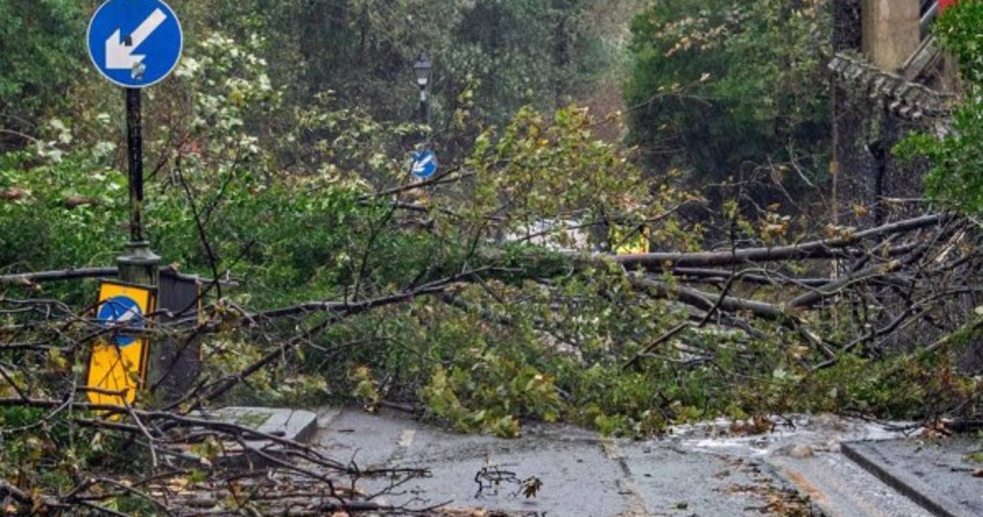 Tempestade Ciarán deverá ter originado os ventos mais fortes registados em décadas (com fotos)