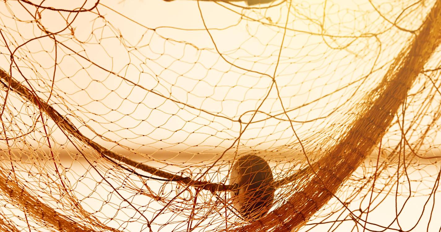 Reabertura da pesca do goraz na ilha Terceira recebida com satisfação pelos armadores