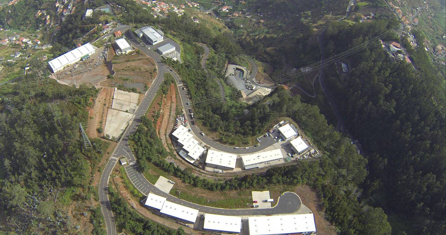 Câmara de Lobos promove reflorestação no Parque Empresarial