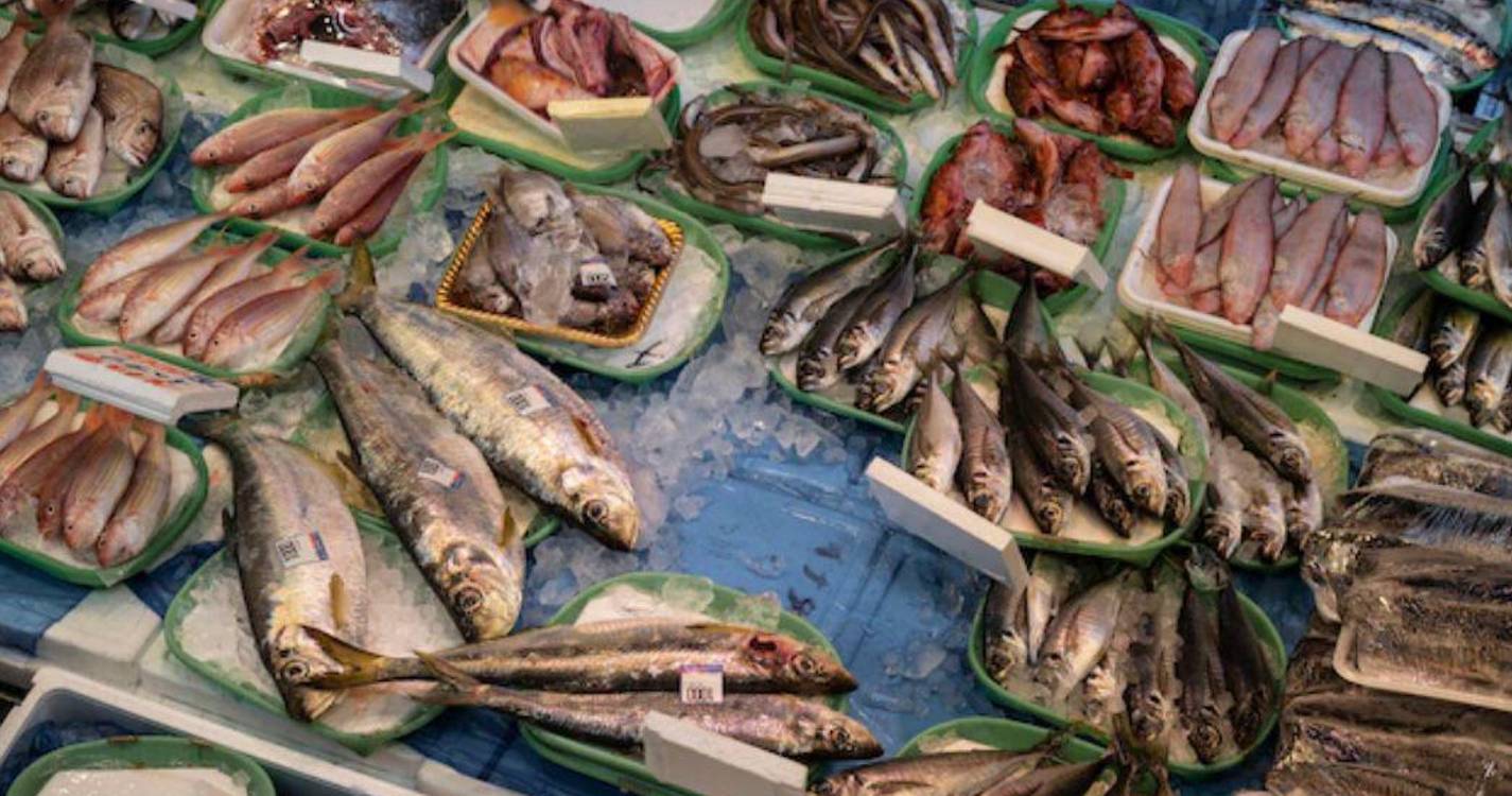 ONG apresenta queixa contra Portugal, Espanha e França por não controlarem frotas de pesca