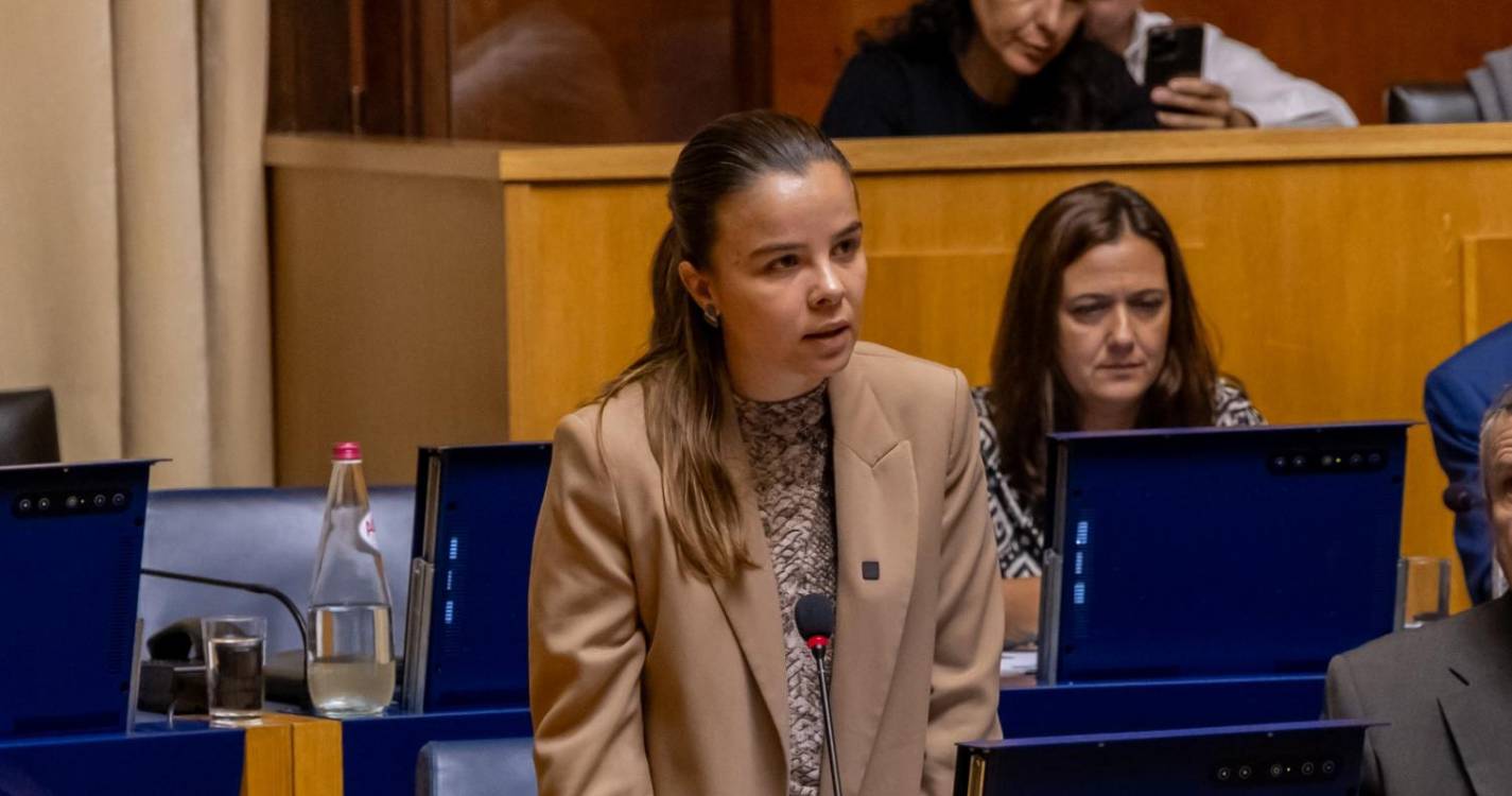 PAN Madeira submete alterações ao Estatuto do Provedor do Animal