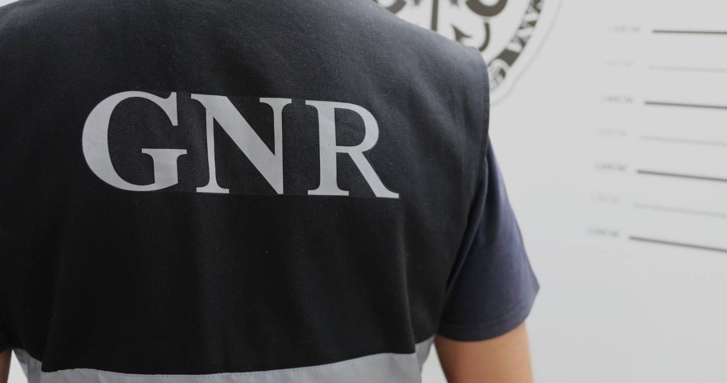 Homem detido por posse ilegal de arma de fogo junto a escola em Sines