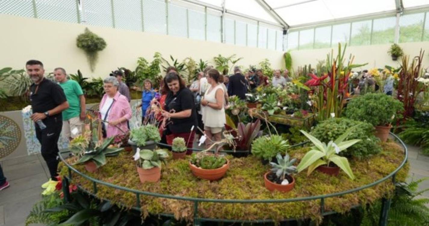 Muro da Solidariedade junta cerca três dezenas de instituições