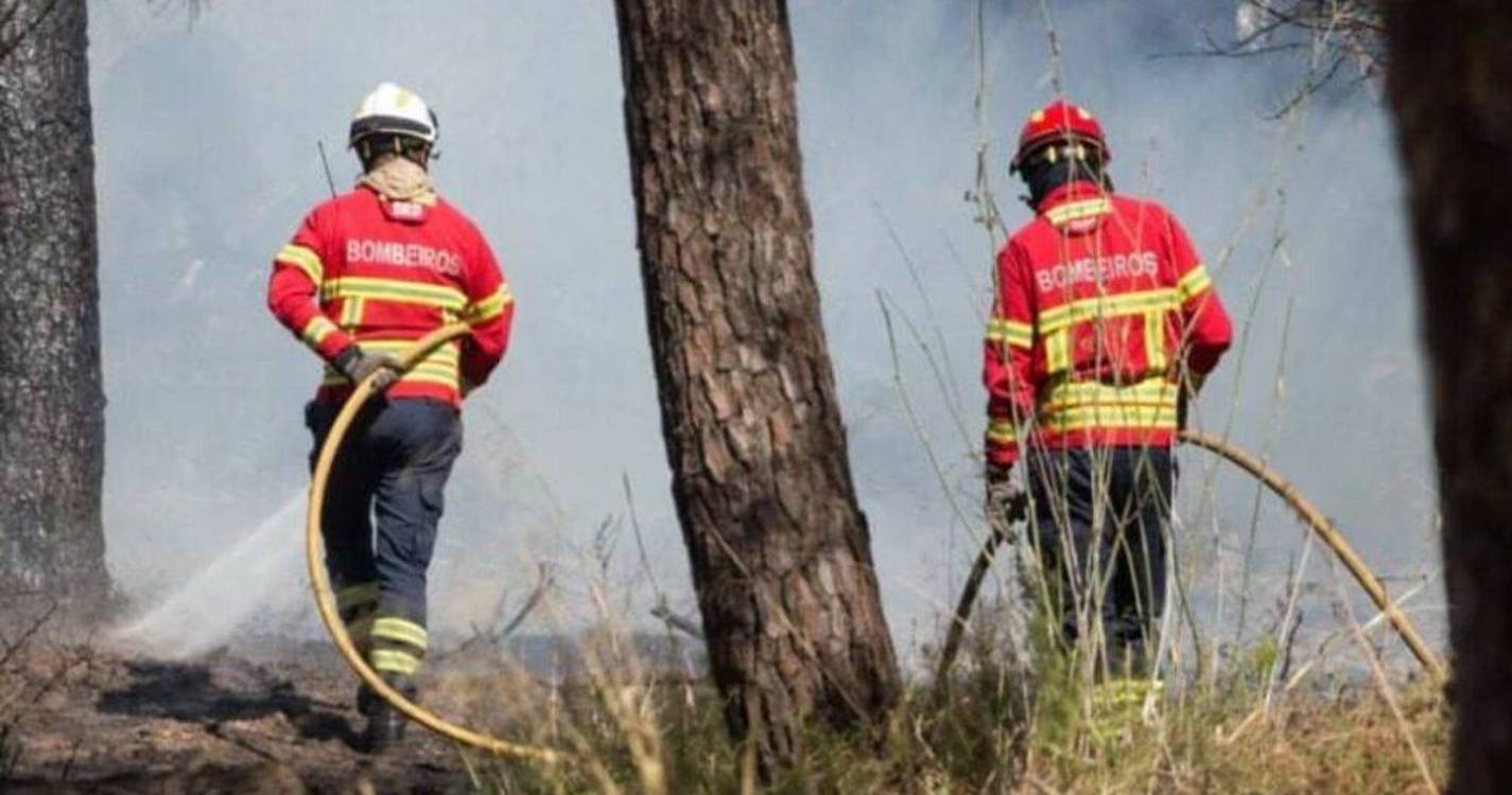 Incêndios: Despesa do Estado aumentou no ano passado para 483ME com destaque para combate