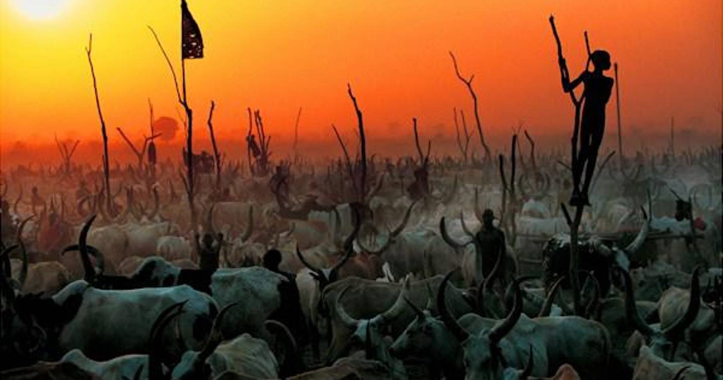 Violência tribal provoca quase 50 mortos no norte do Sudão do Sul