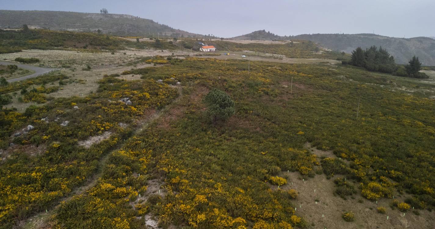 APRAM promove ação ambiental no Parque Ecológico