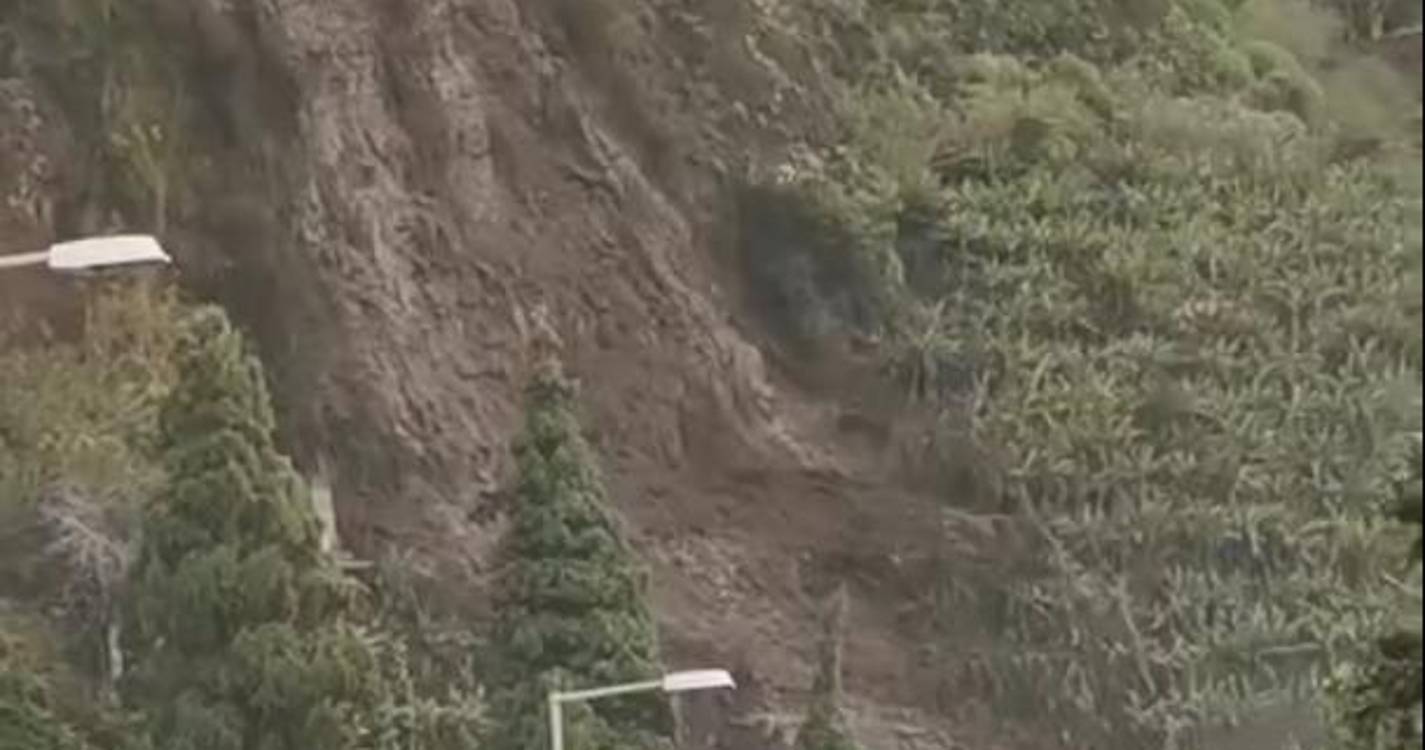 Derrocada na Madalena do Mar destrói plantação de bananas