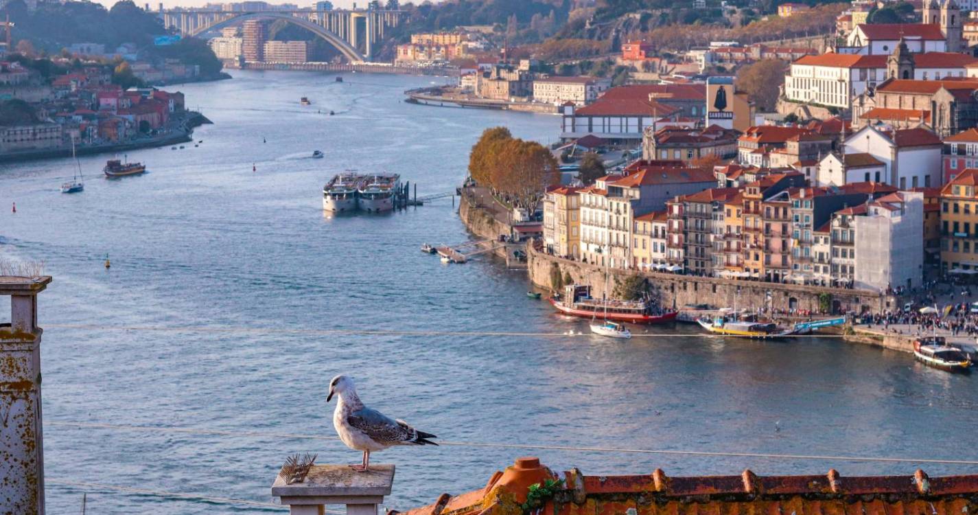 Partículas poluentes do ar junto a algumas unidades de saúde acima dos limites da OMS