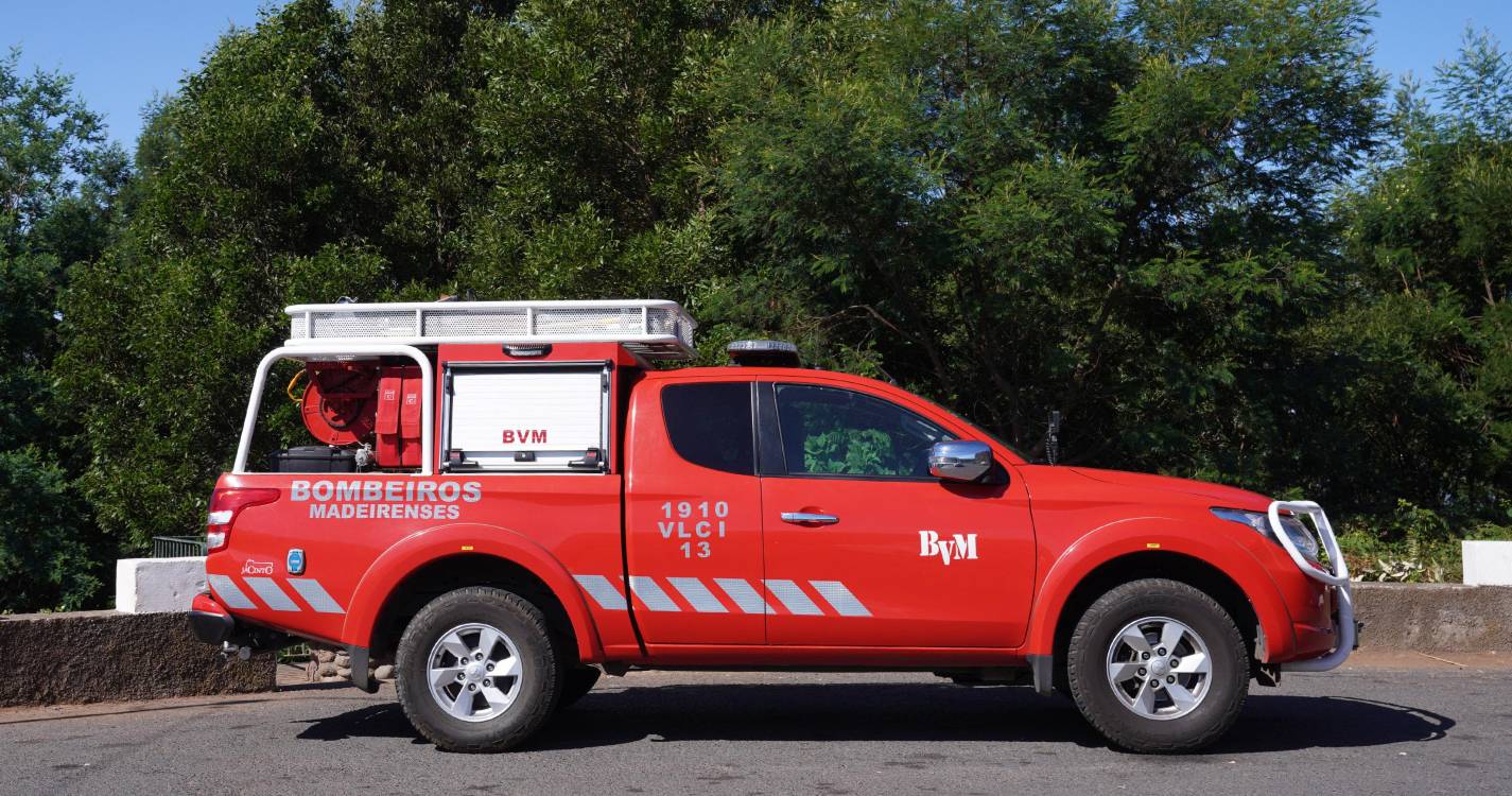 Queda de árvore deixa estrada parcialmente obstruída no Monte