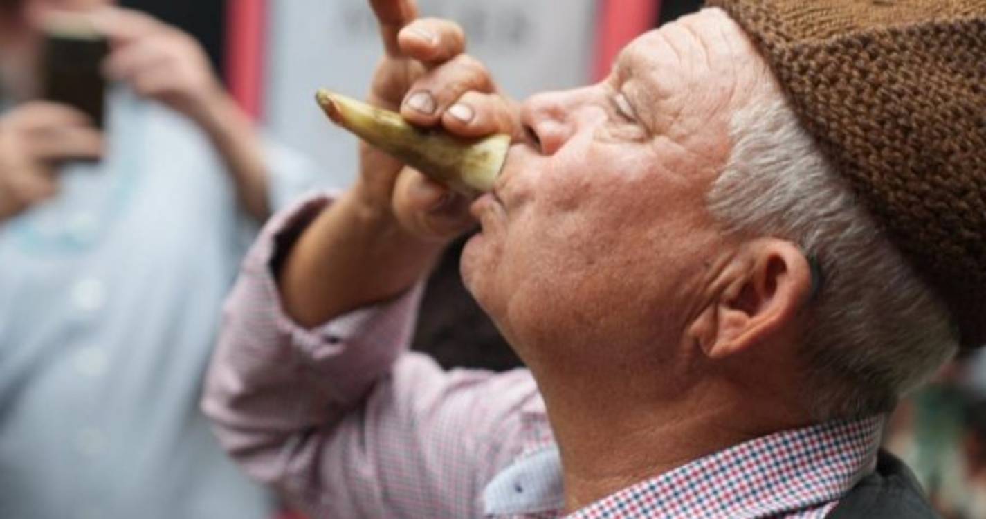 'Blandy's Wine Festival' encerra com arraial madeirense (com fotos)