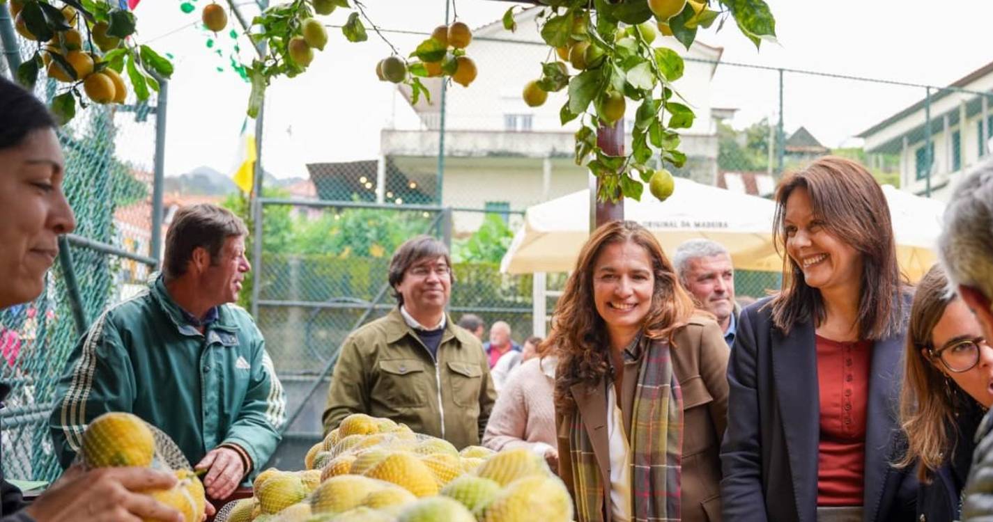 PS defende regulação dos direitos da agricultura familiar