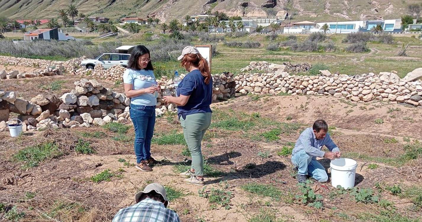 Agricultura reforça apoio técnico no Porto Santo